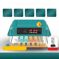 NOVA 병아리부하기 병아리부화기 메추리 달걀 가정용, 1개, 36알 단일 1단계 온도 습도 알람 5모드