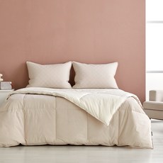 [모던하우스 인천점] 퓨어코튼 구스필 차렵이불 싱글 베이지 -[CV0225226]