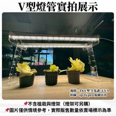 君沛植物燈 V型植物燈 一體式 植物燈管T8 4呎50W 全光譜 紫外線UVA led植物燈, 1個, V型 4呎 全光譜+UVA, 全光譜+UVA