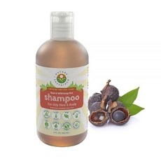 내추럴 샴푸 - 프로바이오틱스 저자극성 & 설페이트 프리 샴푸로 만든 유기농 생 야생 제품으로 민감한 두피 건조한 모발 비듬 습진 및 건선을 위한 샴푸 9온스 오, Oily Hair Shampoo Unscented, 9 Fl Oz (Pack of 1), 1개