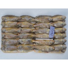 프라임 참조기, 50마리 전후/2.5kg, 1개