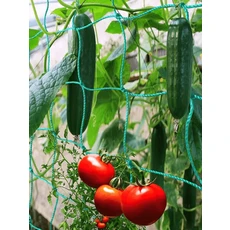 트렐리스 그물 당김 로프 후프 하우스 오이 토마토 덩굴 지지 어망 가장자리 과일 나무, 01 1.8Mx3.6M