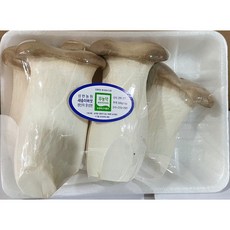 새송이버섯 500g, 1개