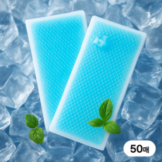 클로덴 아이스젤 해열 스킨 쿨패치, 50개