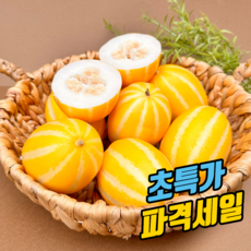 당일수확 고당도 프리미엄 성주 참외, 1박스, 혼합과 5kg