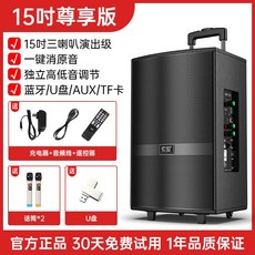 버스킹스피커 블루투스 행사용 공연용 이동식 스피커, 1개, 800W 스피커+마이크2+USB 세트