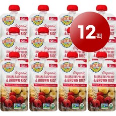 Earth's Best 6~9개월 유아용 과일 채소 이유식 120g 12개