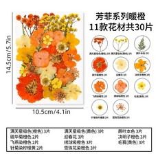 芳菲系列 真花壓花植物標本組合，DIY水晶滴膠乾燥花素材, 4暖橙