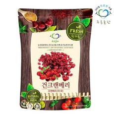 푸른들판 건 크랜베리 500g