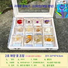 곤충 표본 액자 관찰 수집 벌레 교육용 과학 상자 봄곤충 입체관액자 나비표본, 3. C세트