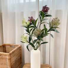 貝努迪迷你水果斯基米亞樹枝混合, 乳白色, 2個