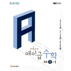 2025 에이급 수학 중등 1-1, 에이급출판사 편집부, 에이급출판사