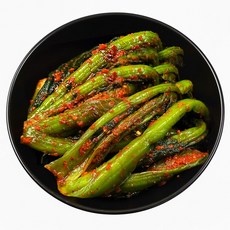 푸드지 여수 돌산 갓김치, 1개, 1kg