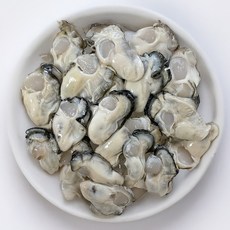 산지직송 최상급 통영 생굴 깐굴 1kg 버블세척 (오후4시 이전 주문시 당일발송), 1개, 중굴 1kg