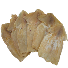 파품몸통오징어 500g 대용량, 1개