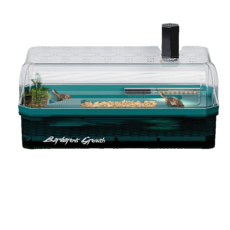 Barbarous Growth 寵物飼養箱，透明頂蓋設計，寬敞空間，通風良好, 綠色 贈曬背燈, 1個