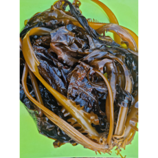 홍지수산 고흥 남해안 겨울이 제철 영양만점 물미역, 1개, 1kg