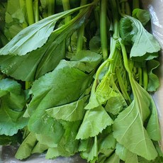 국내산 나주 산지직송 신선야채 국거리 아욱 2kg 4kg 박스포함, 1개, 2kg 내외