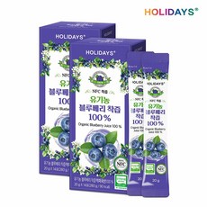 H[M] 홀리데이즈 유기농 블루베리즙 NCF 착즙 100% 2박스, 20g, 14회분