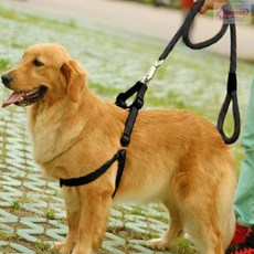 서락 로프 대형견 목줄 하네스 리드줄 세트(XS) (블랙) 대형견목줄