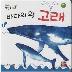 바다의 왕 고래 (세이펜지원 세이펜 미포함) - 캥거루자연주머니, 상품명, 단품, 단품