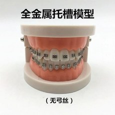 덴티폼 치열 치과 틀니 데모 모델 교정 교육 연습, A. 와이어 없는 풀 메탈 소형 칫솔