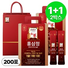 1+1 홍삼정 6년근 하루한포 100회분 대용량+쇼핑백, 2개, 1L