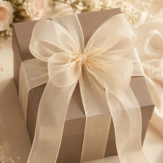 이루모아 예쁜 선물 꽃 청첩장 포장 쉬폰 오간디 리본 끈, 1개, 9.1m, 크림 1개, 9.1m, 크림