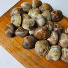 자연가득 시원하고 칼칼한 국물이 예술인 연안 백상합 3kg-5kg, 3kg 75미내외