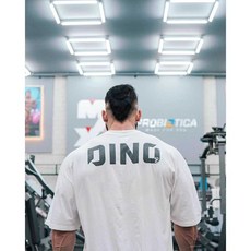 로만체어 접이식 홈짐 복근 백익스텐션 체어 허리 강화형, L