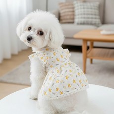 [쁘띠도그]싱그레원피스_여름 강아지옷/애견옷