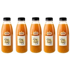 식혜사랑 단호박식혜450ml, 10개, 450ml