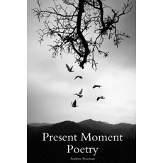 (英文圖書)Present Moment Poetry 平裝版, Lulu Press, 英文