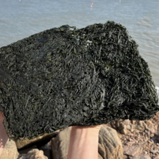 미자네농수산 (특품)완도 산지직송 다시마, 2개, 채다시마100g