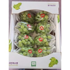 [새콤달콤한농원] 샤인머스켓 상품 가정용 산지직송 GAP 직접재배 고당도 씨없는 망고포도 청포도, 1박스, 4kg, 가정용 상품 4KG (7~8수)