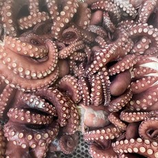 자숙 참문어 (자숙전 1kg / 자숙후 600g), 1개