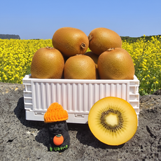 [전국최저가] 재구매폭주 초고당도Brix 골드키위, 1박스, 2kg