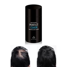 카비스 퍼펙트 커버 흑채 22g 유럽브랜드OEM 식물성 섬유소 남자 여성 흑체, 1개, 흑색(Black)