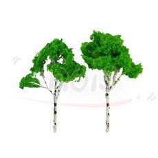 호이 활엽수 모형