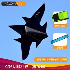 연날리기 성인용 대형 전문 입체 전투기 비행기 항공기 고급, 소형 와이어 없음