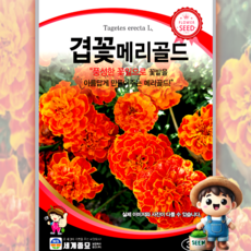 겹꽃메리골드 30립 원예 관상 조경 화단 용 꽃 씨 씨앗 종자 세계종묘, 1개