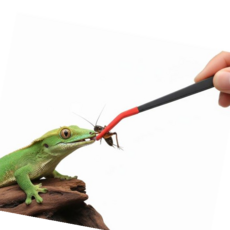 곡선집게 도마뱀 피딩 핀셋 피딩용 크레스티드게코 집게 실리콘팁 16cm 25cm, A. 160cm
