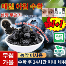 1kg+1kg무설탕 건조블루베리 100% 특급 무설탕 블루베리 건조과일 대용량 건조과일, 2봉지