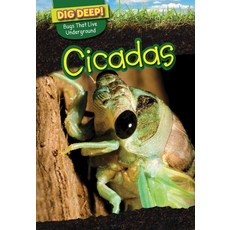 [원서] Cicadas (Dig Deep! Bugs That Live Underground)