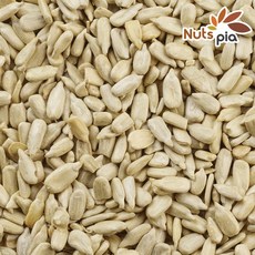 해바라기씨 1kg+1kg (총 2kg) 미국해라바기씨 생 씨앗, 2개