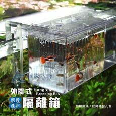【AC草影】外掛式產卵飼育隔離箱 母魚繁殖盒 孔雀魚繁殖盒 小魚繁殖盒 仔魚隔離箱, 1個, 外掛式 產卵飼育隔離箱（3.5L）