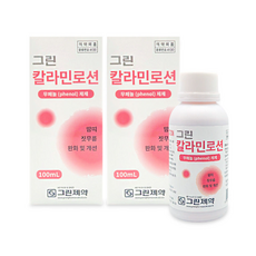 그린제약 그린 칼라민로션100ml 땀띠 벌레 화상 습진 피부진정 의약외품 로션 화상부염 햇볕탄곳, 100ml, 2개