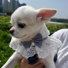 반려동물레이스스카프케이프 목장식