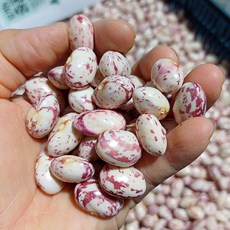 강원도 유기농 호랑이 콩 급냉 깐호랑이콩 줄콩 냉동호랑이콩 울타리콩, 1개, 400g