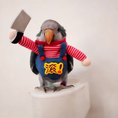 寵物鸚鵡衣服 搞怪拿刀款 鳥類變身衣服, 1個, 拿刀搞笑款,玄鳳型號